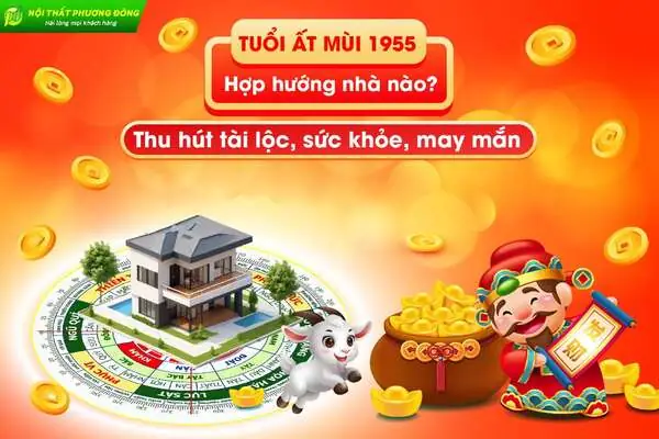 Nữ Tuổi Ất Mùi 1955 Hợp Hướng Nào? Chọn Hướng Nhà Thu Hút Tài Lộc, May Mắn Nữ Tuổi Ất Mùi 1955 Hợp Hướng Nào? Chọn Hướng Nhà Thu Hút Tài Lộc, May Mắn