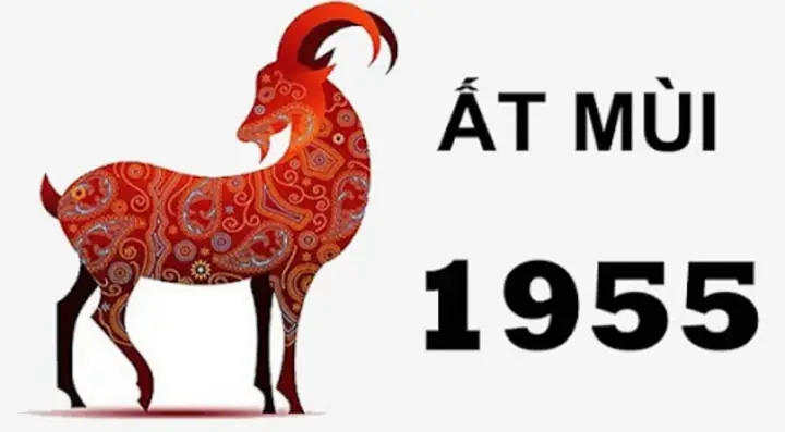 Nữ Tuổi Ất Mùi 1955 Hợp Hướng Nào? Chọn Hướng Nhà Thu Hút Tài Lộc, May Mắn Nữ Tuổi Ất Mùi 1955 Hợp Hướng Nào? Chọn Hướng Nhà Thu Hút Tài Lộc, May Mắn