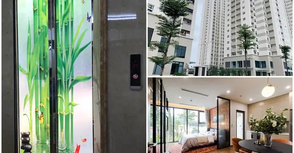 Căn Hộ Gần Thang Máy Có Ồn Không? Ưu Nhược Điểm Và Kinh Nghiệm Chọn