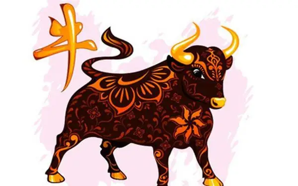 Phong Thủy Người Tuổi Sửu: Chọn Vật Phẩm, Màu Sắc Và Hướng Nhà May Mắn Phong Thủy Người Tuổi Sửu: Chọn Vật Phẩm, Màu Sắc Và Hướng Nhà May Mắn