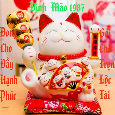 Tuổi Đinh Mão 1987: Phong Thủy Hợp Mệnh, Màu Sắc, Hướng Nhà Và Vật Phẩm May Mắn