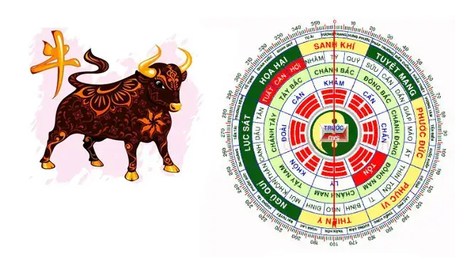 Phong Thủy Tuổi Quý Sửu 1973: Mệnh Gì, Hợp Màu Gì Và Hướng Nào Tốt Nhất?