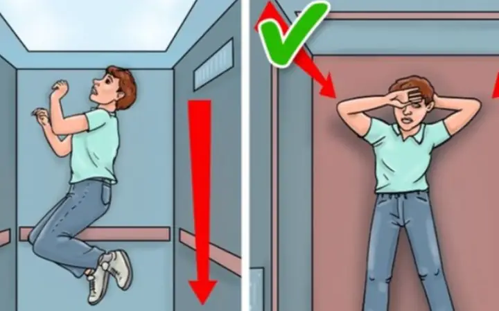 Rơi Thang Máy Có Chết Không? Giải Đáp Nguy Cơ Và Cách Xử Lý An Toàn