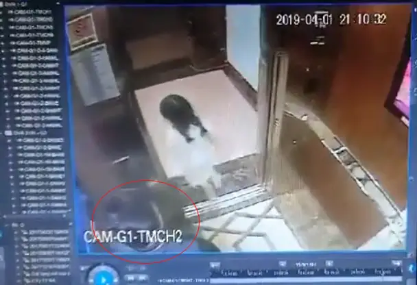 Vụ Sàm Sỡ Bé Gái Trong Thang Máy: Diễn Biến, Khởi Tố Và Phản Ứng Dư Luận