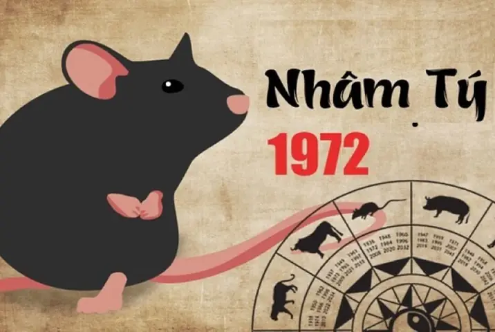 Sinh Năm 1972 Hợp Hướng Nhà Nào? Hướng Đẹp & Lưu Ý Cho Tuổi Nhâm Tý