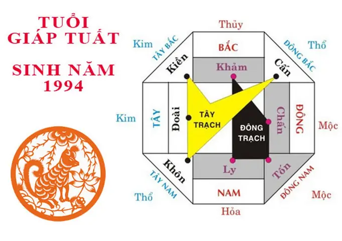 Tuổi Giáp Tuất 1994: Chọn Hướng Nhà Hợp Phong Thủy Mang Lại May Mắn, Tài Lộc