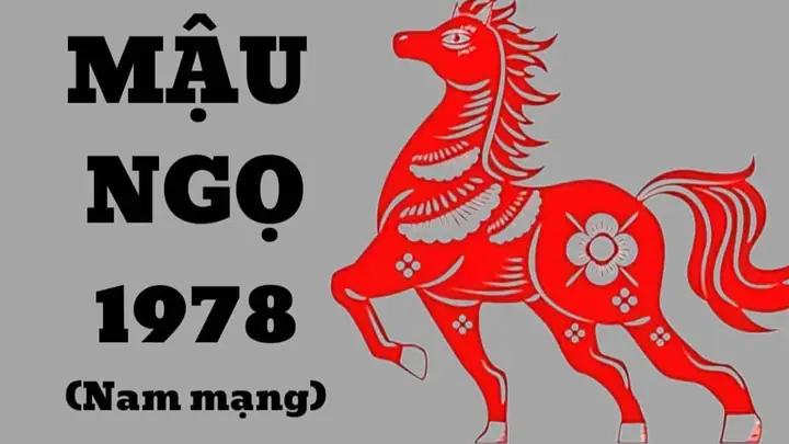 Sinh Năm 1978 Tuổi Gì? Mệnh Gì, Hợp Tuổi Nào, Màu Nào?