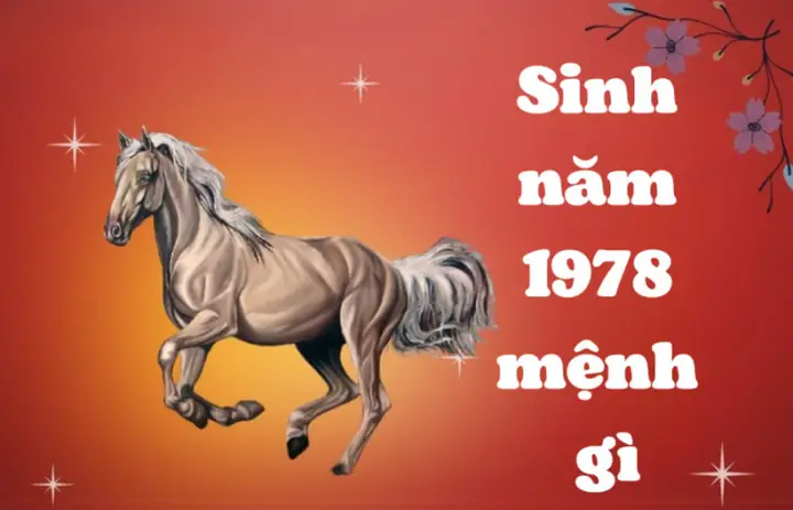 Sinh Năm 1978 Tuổi Gì? Mệnh Gì, Hợp Tuổi Nào, Màu Nào?