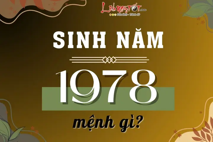 Sinh Năm 1978 Tuổi Gì? Mệnh Gì, Hợp Tuổi Nào, Màu Nào?