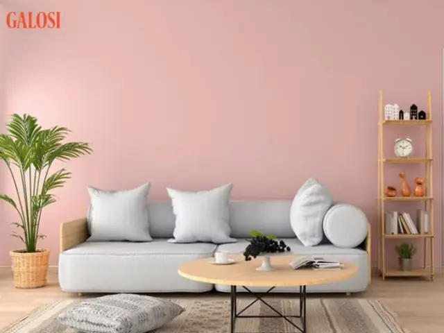 Sơn Nhà Màu Hồng Pastel: Ý Tưởng Thiết Kế & Phối Màu Đẹp Xu Hướng Sơn Nhà Màu Hồng Pastel: Ý Tưởng Thiết Kế & Phối Màu Đẹp Xu Hướng