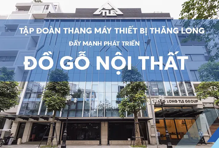Tập Đoàn Thang Máy Thiết Bị Thăng Long (tle): Thông Tin Và Giải Pháp Toàn Diện