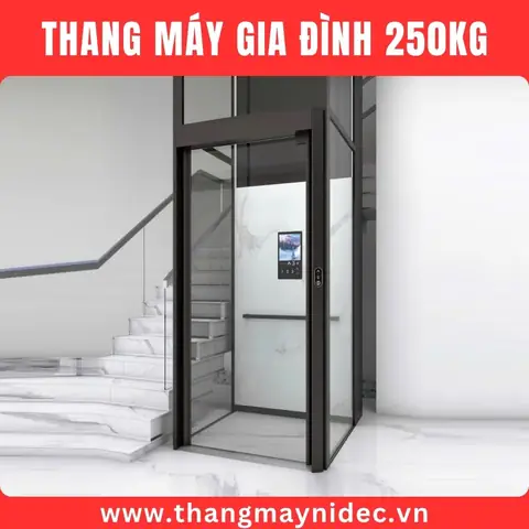 Thang Máy 250kg: Báo Giá, Kích Thước Chuẩn & Lựa Chọn Phù Hợp Cho Gia Đình