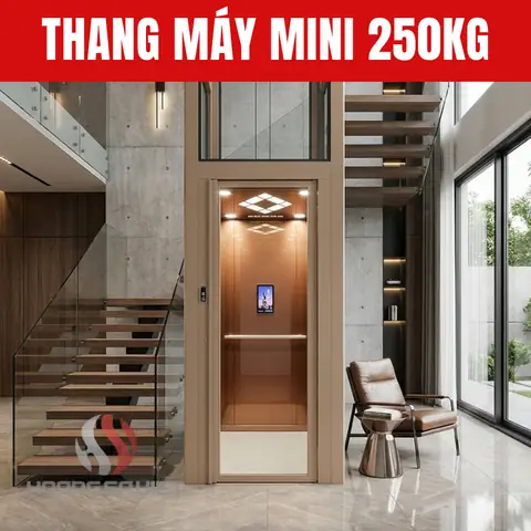 Thang Máy 250kg: Báo Giá, Kích Thước Chuẩn & Lựa Chọn Phù Hợp Cho Gia Đình
