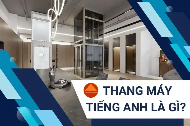 Thang Máy Tiếng Anh Là Gì? Định Nghĩa, Cách Gọi & Thuật Ngữ Liên Quan
