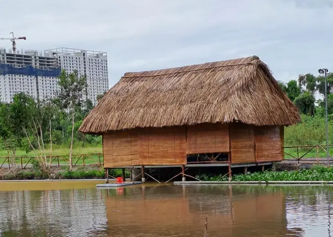 Thi Công Nhà Mái Lá: Quy Trình, Chi Phí & Vật Liệu Phổ Biến Nhất