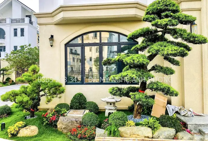 Thiết Kế Sân Vườn Nhỏ: Ý Tưởng Đẹp & Bí Quyết Cho Mọi Diện Tích