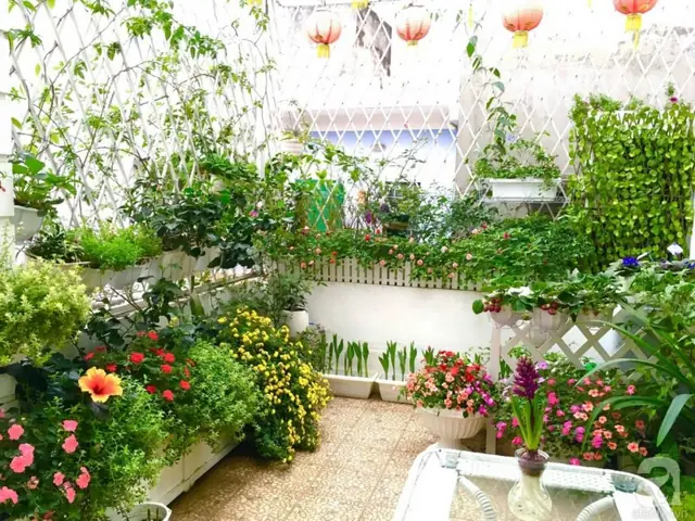 Thiết Kế Sân Vườn Nhỏ: Ý Tưởng Đẹp & Bí Quyết Cho Mọi Diện Tích
