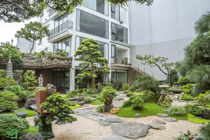 Thiết Kế Thi Công Sân Vườn Đẹp: Ý Tưởng, Nguyên Tắc Và Mẫu Phổ Biến