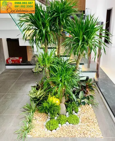 Tiểu Cảnh Sân Vườn Đơn Giản: Ý Tưởng & Hướng Dẫn Tự Làm Dễ Dàng