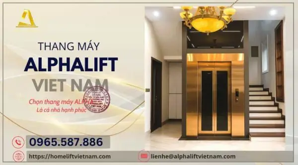 Tin Tức Thang Máy: Sự Cố, An Toàn Và Các Loại Thang Máy Mới Nhất