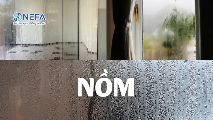 Trời Nồm Nên Mở Cửa Hay Đóng Cửa Để Nhà Khô Ráo, Thoáng Mát?