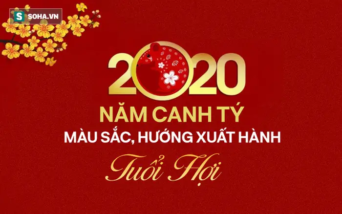 Tuổi Ất Hợi 1995 Hợp Màu Gì Năm 2020? Hướng Dẫn Chọn Màu Thu Hút Tài Lộc Tuổi Ất Hợi 1995 Hợp Màu Gì Năm 2020? Hướng Dẫn Chọn Màu Thu Hút Tài Lộc