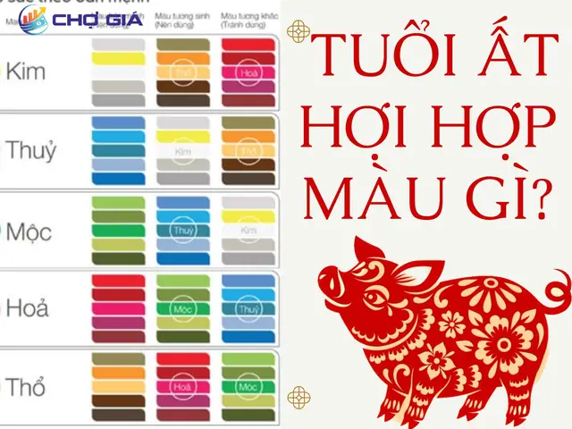 Tuổi Ất Hợi 1995 Hợp Màu Gì Năm 2020? Hướng Dẫn Chọn Màu Thu Hút Tài Lộc Tuổi Ất Hợi 1995 Hợp Màu Gì Năm 2020? Hướng Dẫn Chọn Màu Thu Hút Tài Lộc