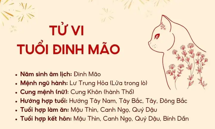 Tuổi Đinh Mão Làm Nhà Hướng Nào Hợp Phong Thủy Rước Tài Lộc 1987