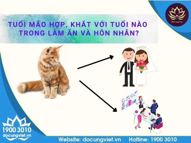 Tuổi Kỷ Mão 1999 Hợp Với Tuổi Nào Trong Hôn Nhân Và Làm Ăn?