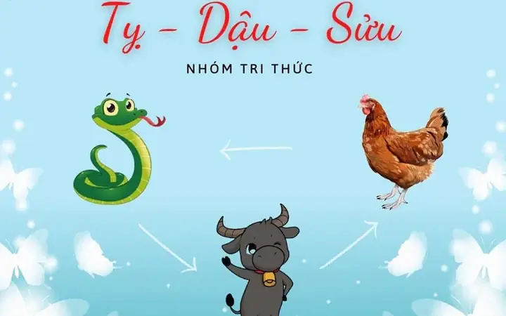 Tuổi Nào Hợp Xông Đất Cho Gia Chủ Kỷ Tỵ 1989 Năm Bính Ngọ 2026? Tuổi Nào Hợp Xông Đất Cho Gia Chủ Kỷ Tỵ 1989 Năm Bính Ngọ 2026?