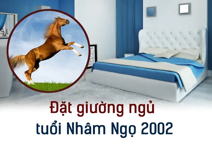 Tuổi Mậu Ngọ Kê Giường Hướng Nào Tốt Nhất Theo Phong Thủy 1978?
