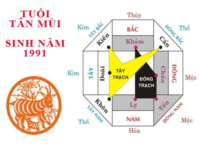 Tuổi Mùi Hợp Hướng Nào? Chọn Hướng Nhà, Bàn Thờ May Mắn Tuổi Mùi Hợp Hướng Nào? Chọn Hướng Nhà, Bàn Thờ May Mắn