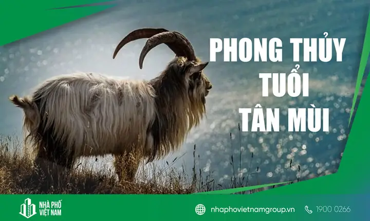 Tuổi Mùi Hợp Hướng Nào? Chọn Hướng Nhà, Bàn Thờ May Mắn Tuổi Mùi Hợp Hướng Nào? Chọn Hướng Nhà, Bàn Thờ May Mắn