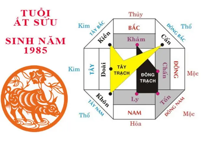 Tuổi Ất Sửu 1985 Hợp Hướng Nào? Hướng Nhà, Cửa Chính, Bếp Rước Lộc