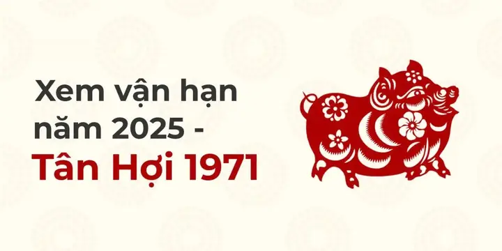 Tử Vi Trọn Đời Nữ Mạng Tuổi Tân Hợi 1971: Vận Mệnh, Hợp Tuổi & Phong Thủy
