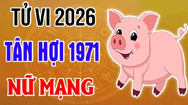 Tử Vi Trọn Đời Nữ Mạng Tuổi Tân Hợi 1971: Vận Mệnh, Hợp Tuổi & Phong Thủy