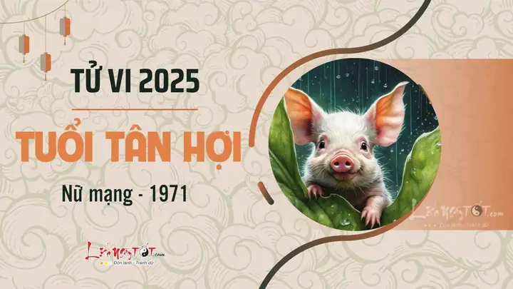 Tử Vi Trọn Đời Nữ Mạng Tuổi Tân Hợi 1971: Vận Mệnh, Hợp Tuổi & Phong Thủy