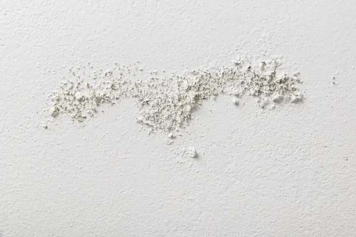 Tường Nhà Bị Mốc Phải Làm Sao? 7+ Cách Xử Lý Và Ngăn Ngừa Hiệu Quả