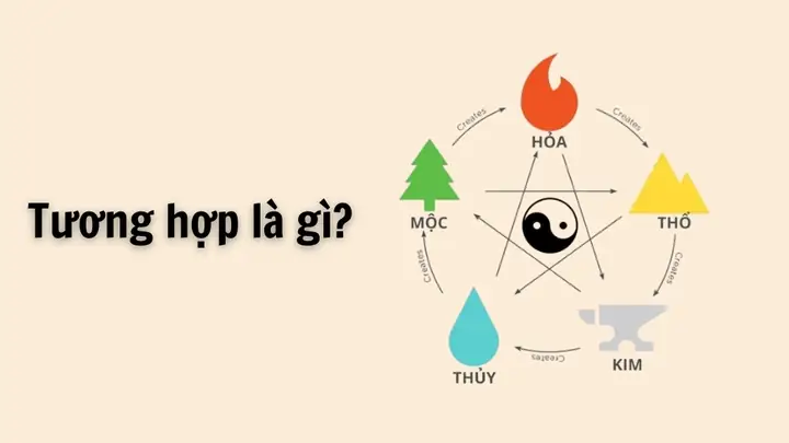 Tương Sinh Là Gì? Phân Biệt Tương Sinh Và Tương Hợp Trong Ngũ Hành Tương Sinh Là Gì? Phân Biệt Tương Sinh Và Tương Hợp Trong Ngũ Hành