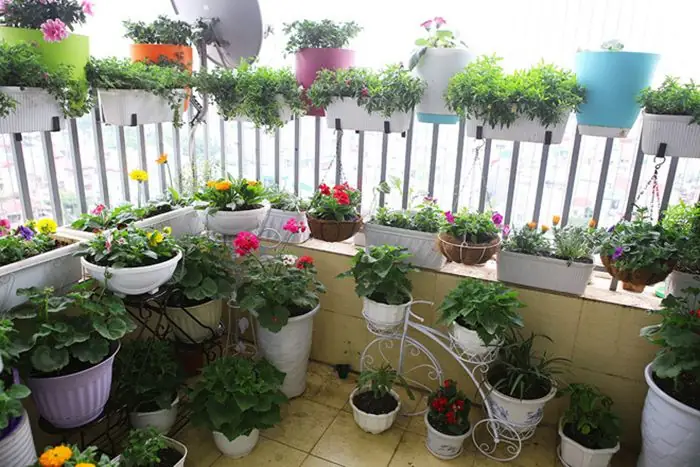 30+ Ý Tưởng Biến Ban Công Thành Vườn Hoa Đẹp Mộng Mơ: Hướng Dẫn Chi Tiết Từ A-z 30+ Ý Tưởng Biến Ban Công Thành Vườn Hoa Đẹp Mộng Mơ: Hướng Dẫn Chi Tiết Từ A-z