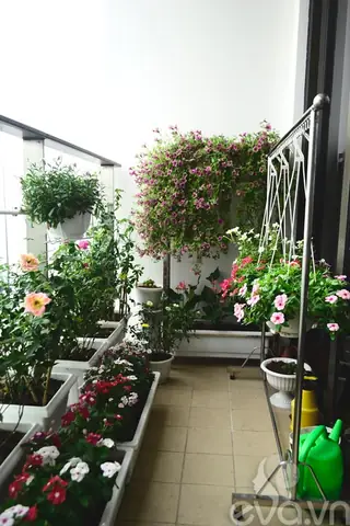 30+ Ý Tưởng Biến Ban Công Thành Vườn Hoa Đẹp Mộng Mơ: Hướng Dẫn Chi Tiết Từ A-z 30+ Ý Tưởng Biến Ban Công Thành Vườn Hoa Đẹp Mộng Mơ: Hướng Dẫn Chi Tiết Từ A-z