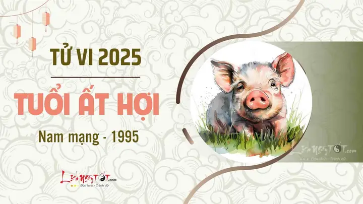 Tử Vi Tuổi Ất Hợi 1995: Vận Hạn, Sự Nghiệp, Tình Duyên Theo Giới Tính & Năm 2025-2026