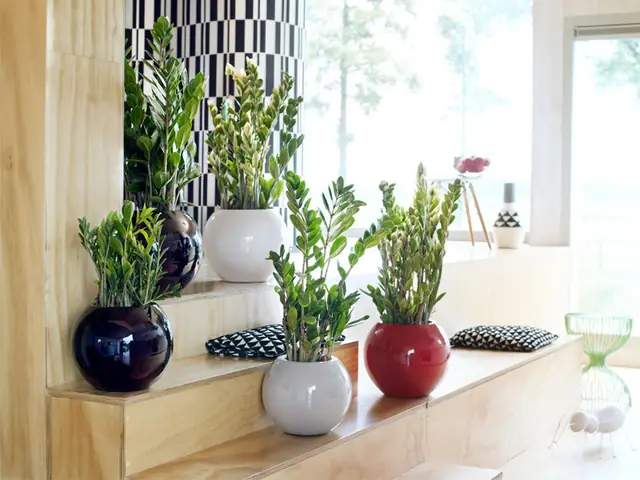 25+ Ý Tưởng Trang Trí Tường Nhà Đẹp, Sáng Tạo Cho Mọi Không Gian